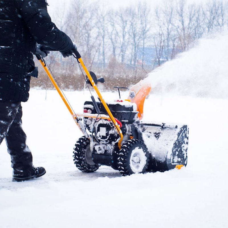 Сезонные товары Сезонные товары