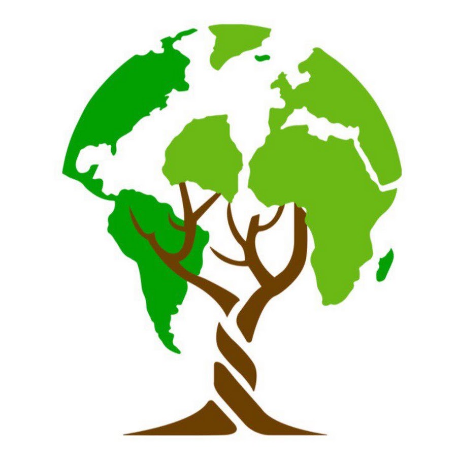 Мир дерева 174 Мир дерева 174